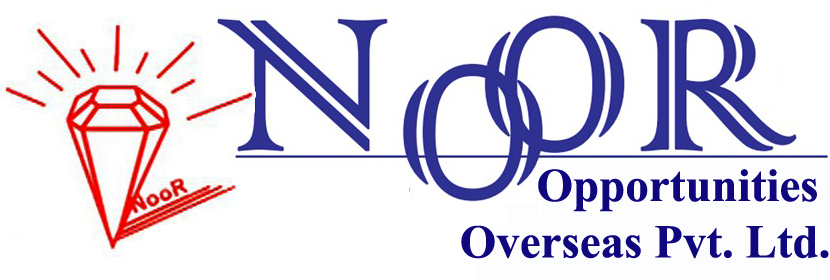 Noor Opportunities Logo